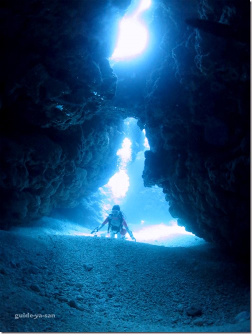 水中洞窟を潜るファンダイビングツアー