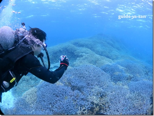 宮古島の青いサンゴ礁