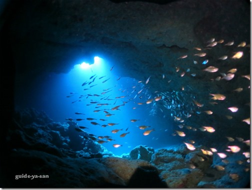 海中洞窟でダイビング