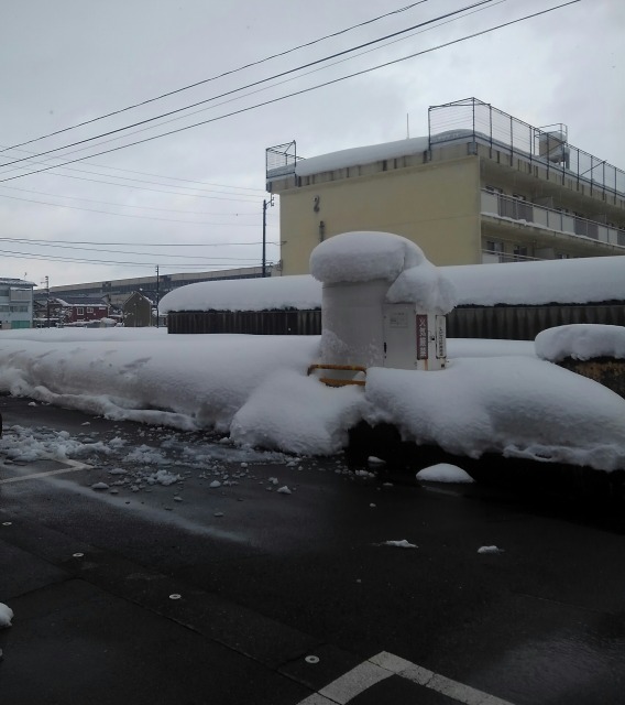 新潟県積雪